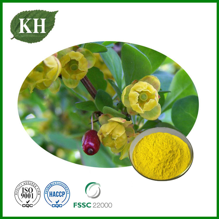 Barberry Root Extract