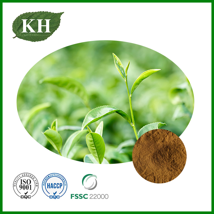 Green Tea Extract (1)