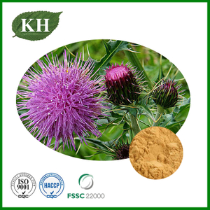 Milk Thistle Extract
