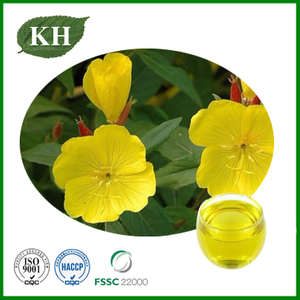 Evening Primrose Oil