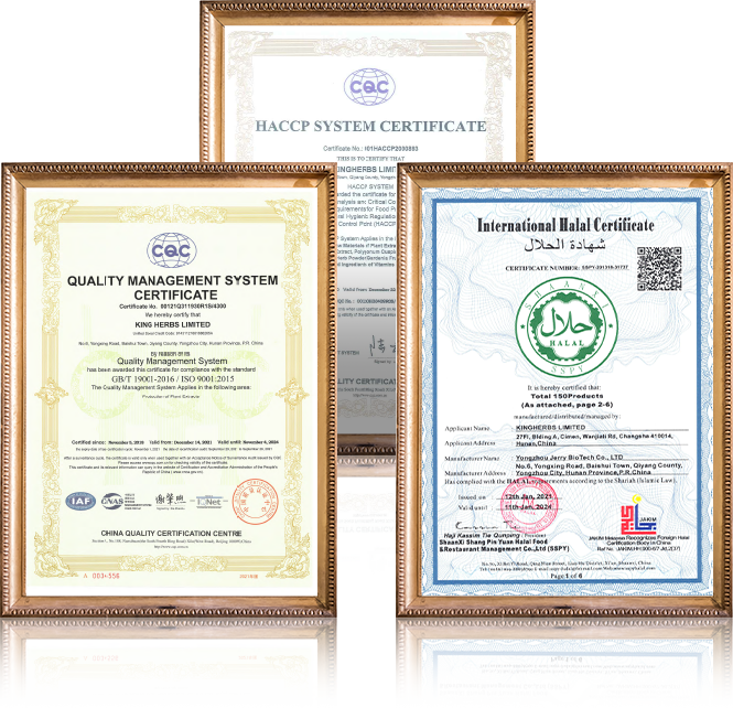 Kingherbs Limited\'s international certifications showcasing commitment to quality in botanical and herbal extracts.
