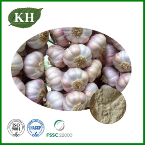 Garlic Extract