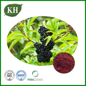 Elderberry Extract