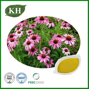 Echinacea Purpurea Extract
