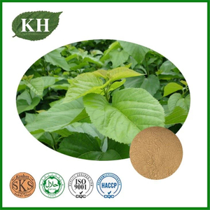 Mulberry Leaf Extract