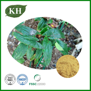 Epimedium Extract