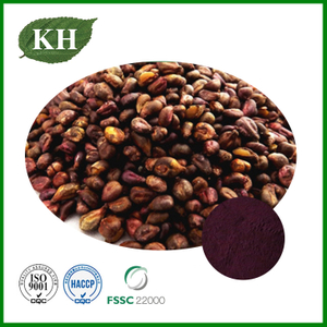 Grape Seed Extract