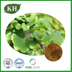 Ginkgo Biloba Leaf Extract