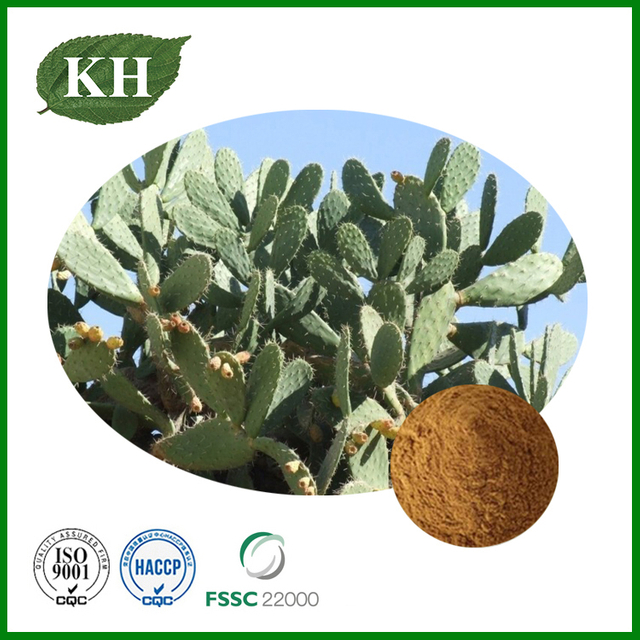 Hoodia Cactus Extract