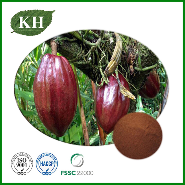 Cocoa Seed Extract