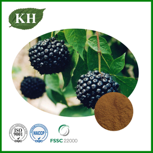 Siberian Ginseng Extract