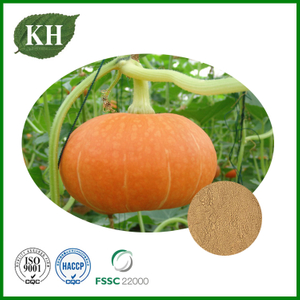 Pumpkin Seed Extract
