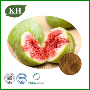 Fig Extract