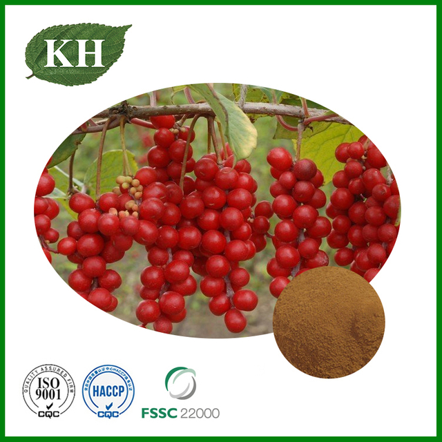 Schizandra Chinensis Extract