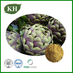 Artichoke Extract