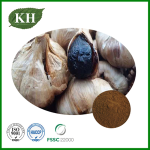 Black Garlic Extract
