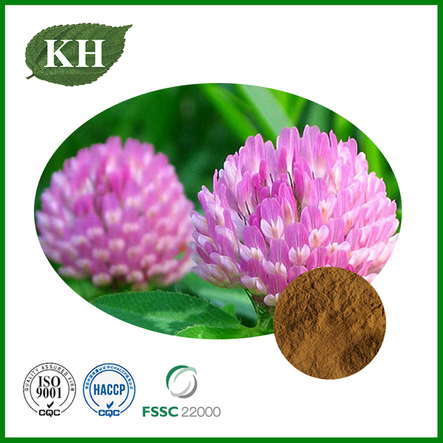Red Clover Extract