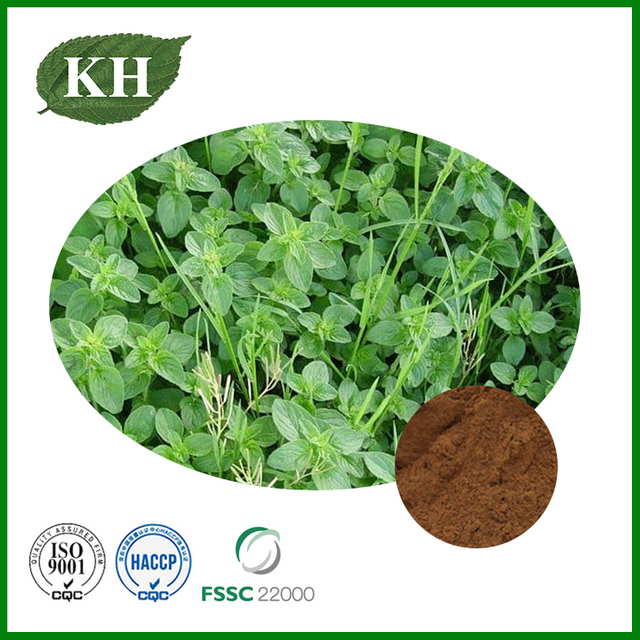Thyme Extract