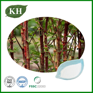Polygonum Cuspidatum Extract