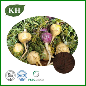 Maca Extract