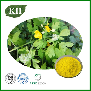 Coptis Chinensis Extract