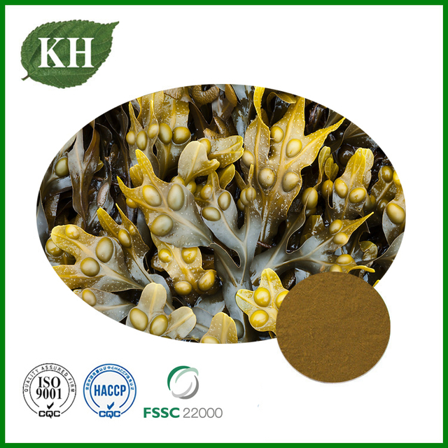 Bladderwrack Extract