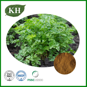 Parsley Extract