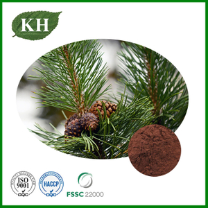 Pine Bark Extract