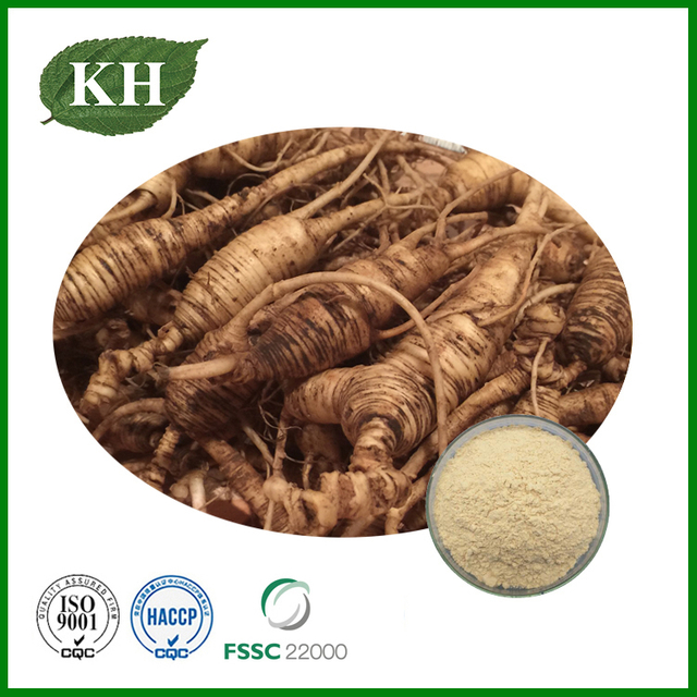 American Ginseng Extract