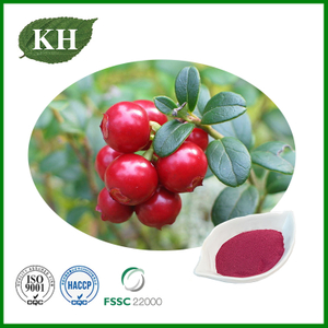 Cranberry Extract