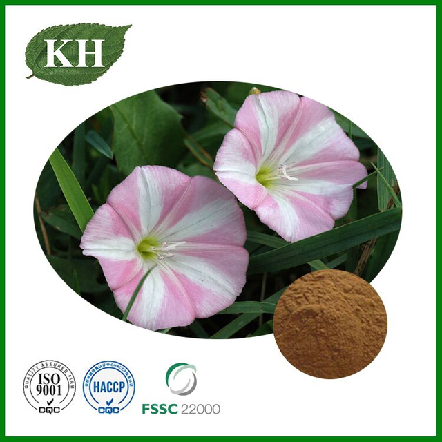Field Bindweed Extract
