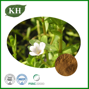 Bacopa Monnieri Extract