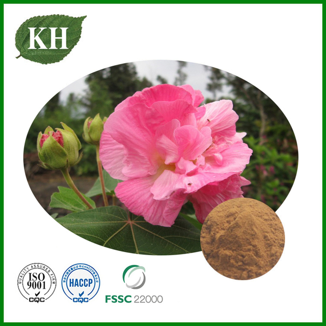 Hibiscus Flower Extract