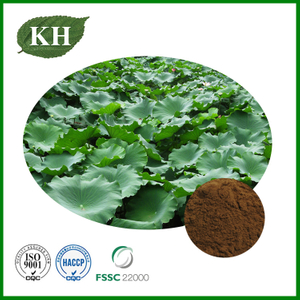 Lotus Leaf Extract