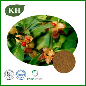 Ashwagandha Root Extract