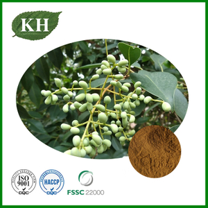 Ligustrum Fruit Extract