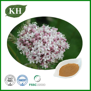 Valerian Root Extract