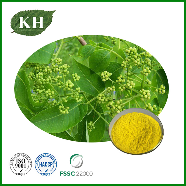 Cortex Phellodendri Extract