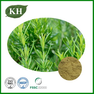 Rosemary Extract