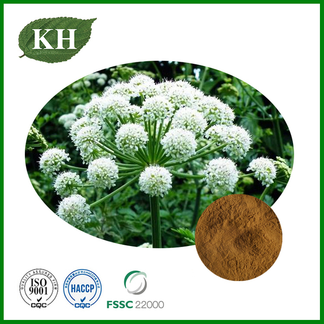 Angelica Dahurica Extract