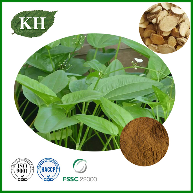 Alismatis Rhizoma Extract