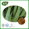 Eucalyptus Leaf Extract