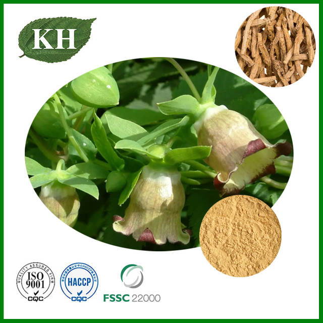 Codonopsis Pilosula Extract