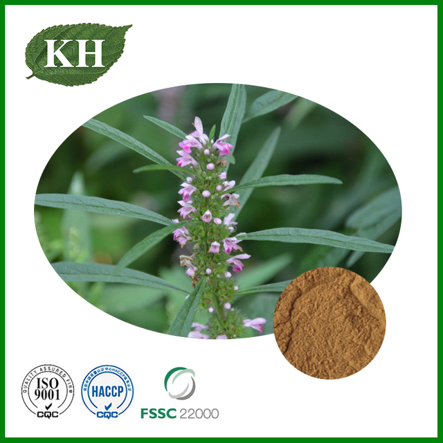 Motherwort Extract