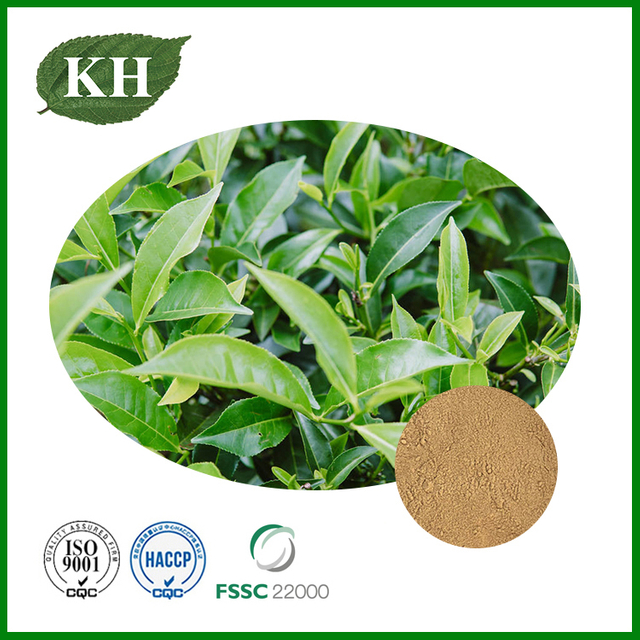 Oolong Tea Extract