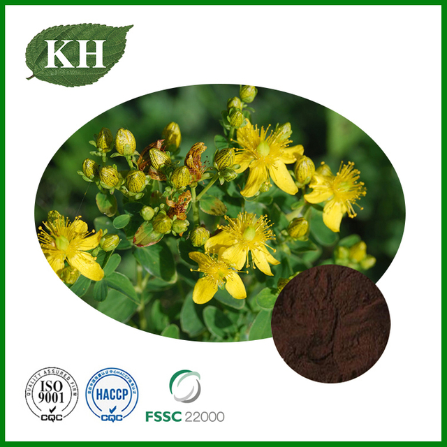 St John's Wort Extract