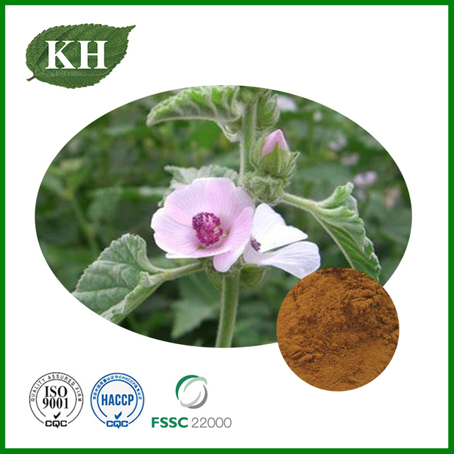Althaea Officinalis Extract