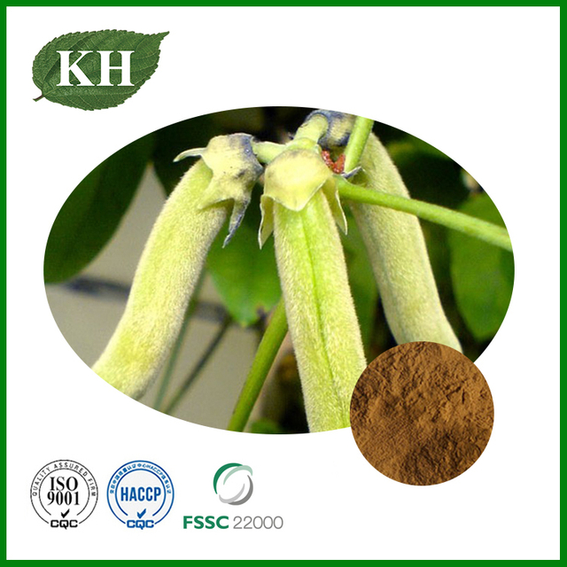 Mucuna Pruriens Extract