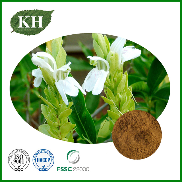 Adhatoda Vasica Extract