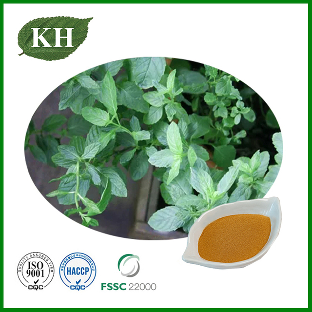 Peppermint Extract